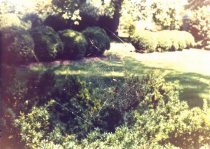 Abram's Delight, yard work